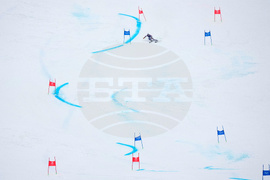 Milan Cortina Olympics Alpine Skiing