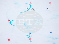 Milan Cortina Olympics Alpine Skiing