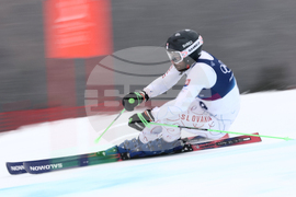 Milan Cortina Olympics Alpine Skiing