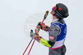 Milan Cortina Olympics Alpine Skiing