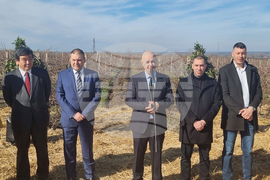 Плевен - Институт по лозарство и винарство - Трифон Зарезан