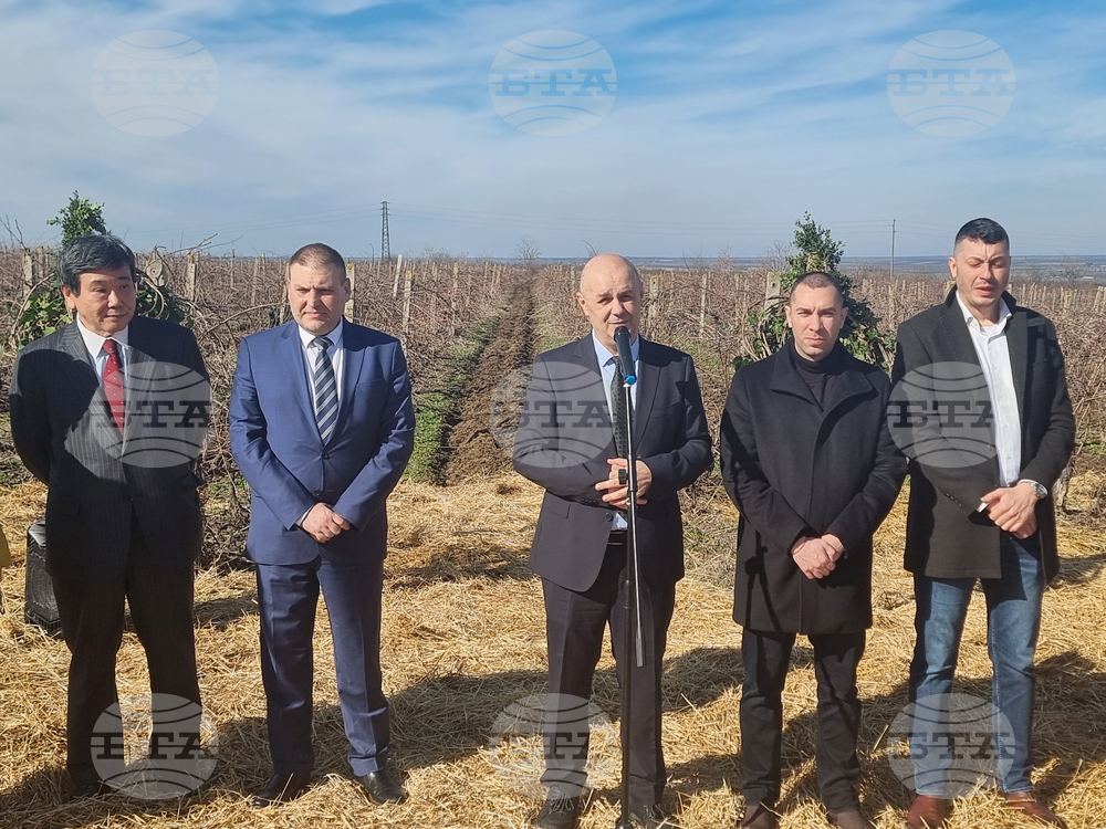 Плевен - Институт по лозарство и винарство - Трифон Зарезан