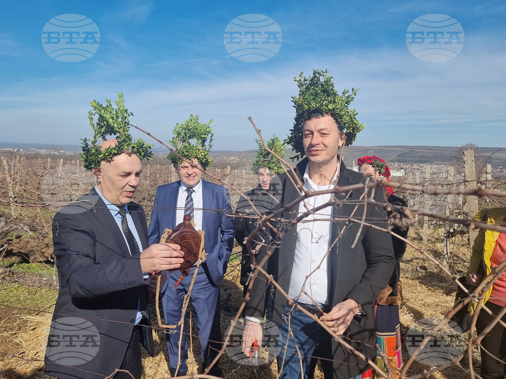 Плевен - Институт по лозарство и винарство - Трифон Зарезан