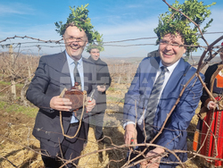 Плевен - Институт по лозарство и винарство - Трифон Зарезан