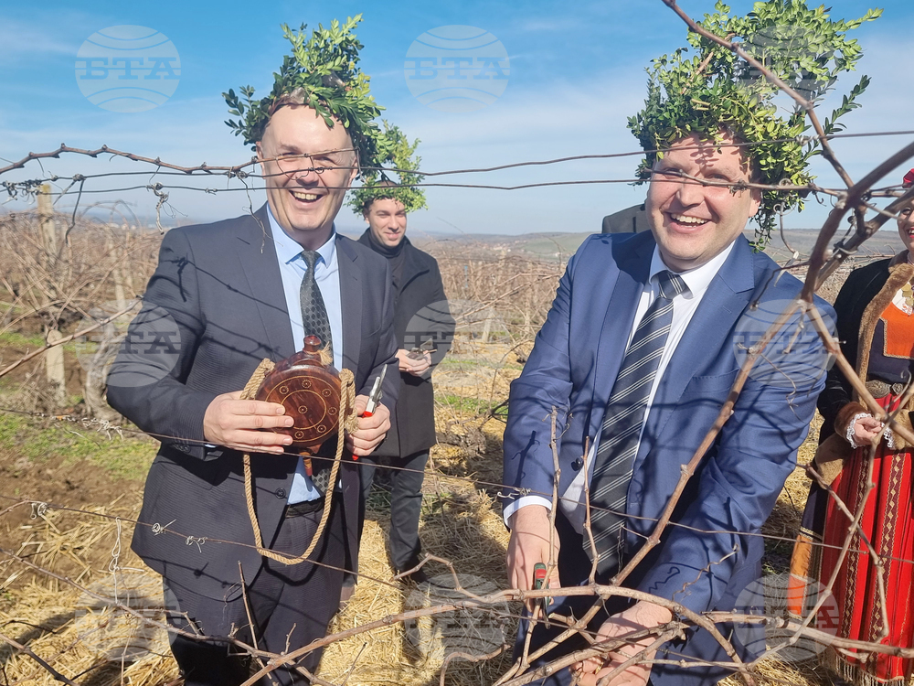 Плевен - Институт по лозарство и винарство - Трифон Зарезан