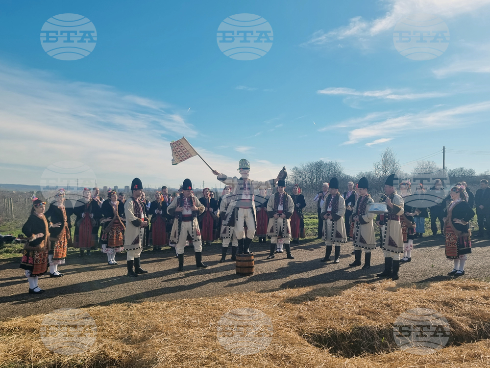 Плевен - Институт по лозарство и винарство - Трифон Зарезан