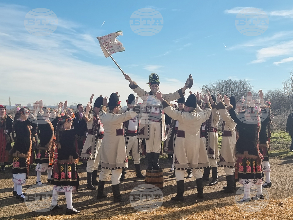 Плевен - Институт по лозарство и винарство - Трифон Зарезан