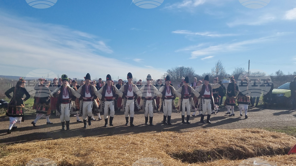 Плевен - Институт по лозарство и винарство - Трифон Зарезан