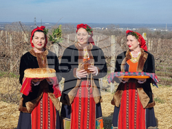 Плевен - Институт по лозарство и винарство - Трифон Зарезан