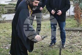 Вършец - Трифон Зарезан - отбелязване