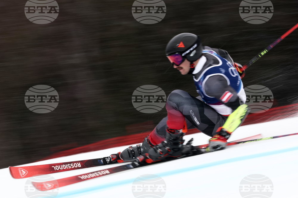 Milan Cortina Olympics Alpine Skiing