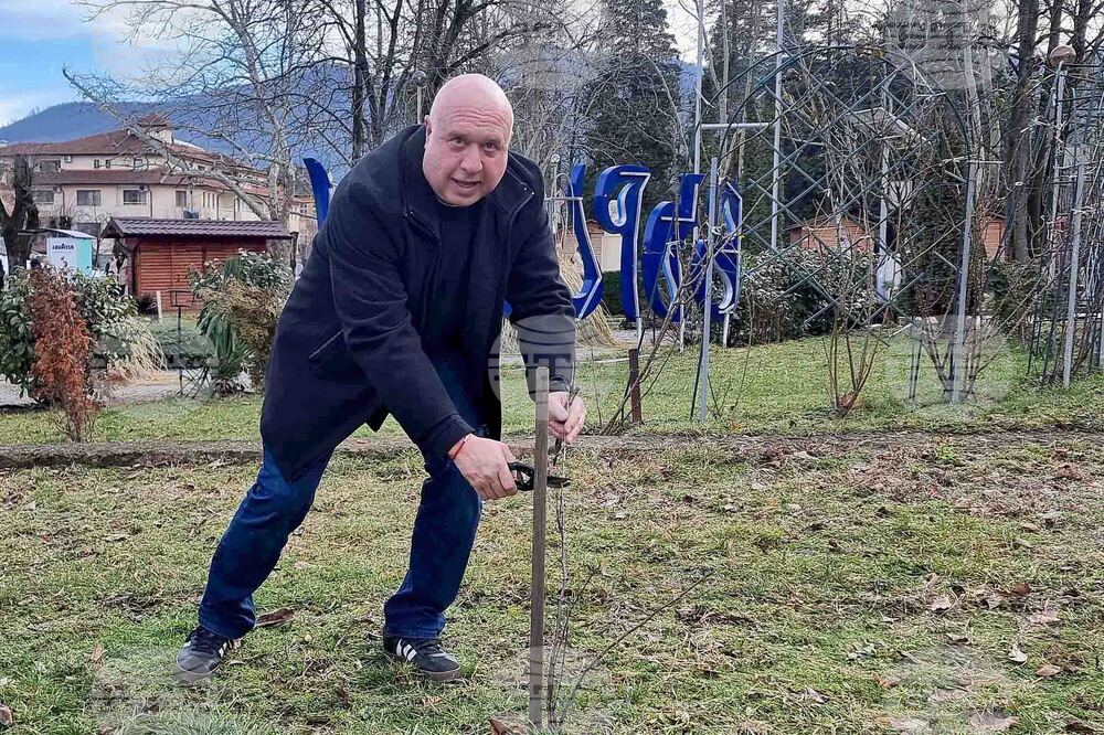 Вършец - Трифон Зарезан - отбелязване