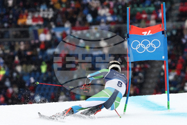 Milan Cortina Olympics Alpine Skiing