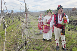 Село Ръждак - Трифон Зарезан - ритуално зарязване