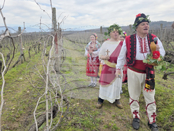 Село Ръждак - Трифон Зарезан - ритуално зарязване