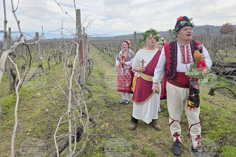 Село Ръждак - Трифон Зарезан - ритуално зарязване