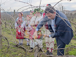 Село Ръждак - Трифон Зарезан - ритуално зарязване