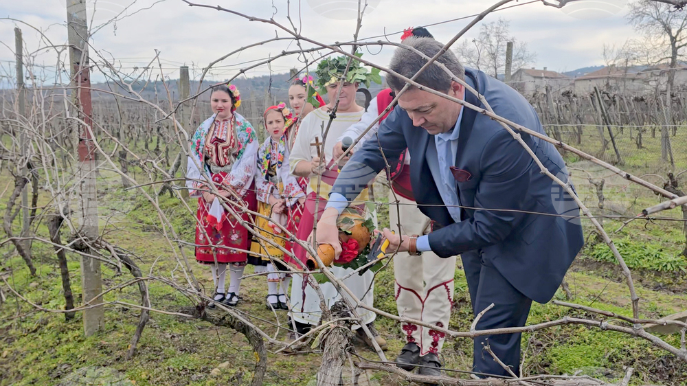Село Ръждак - Трифон Зарезан - ритуално зарязване