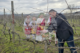 Село Ръждак - Трифон Зарезан - ритуално зарязване