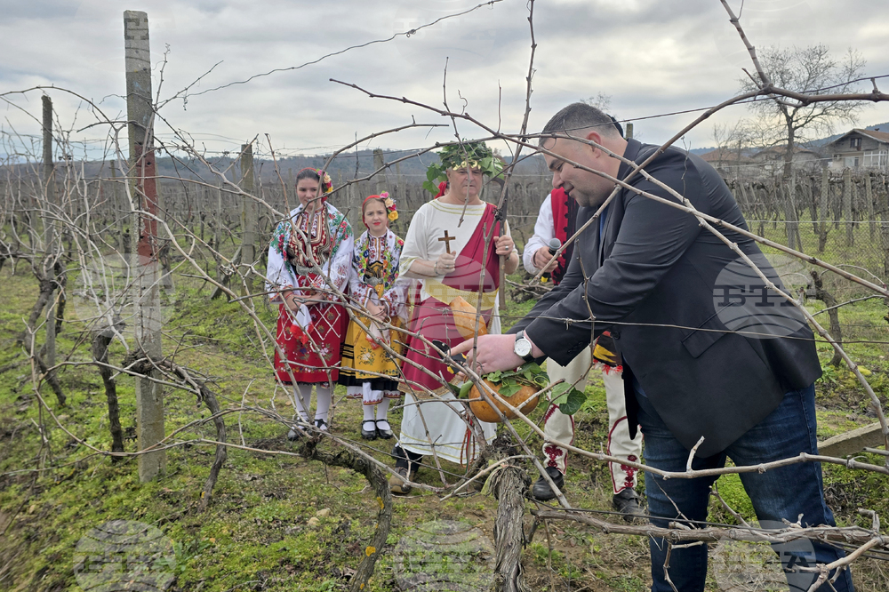 Село Ръждак - Трифон Зарезан - ритуално зарязване