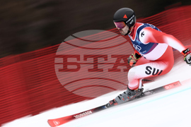 Milan Cortina Olympics Alpine Skiing