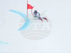 Milan Cortina Olympics Alpine Skiing