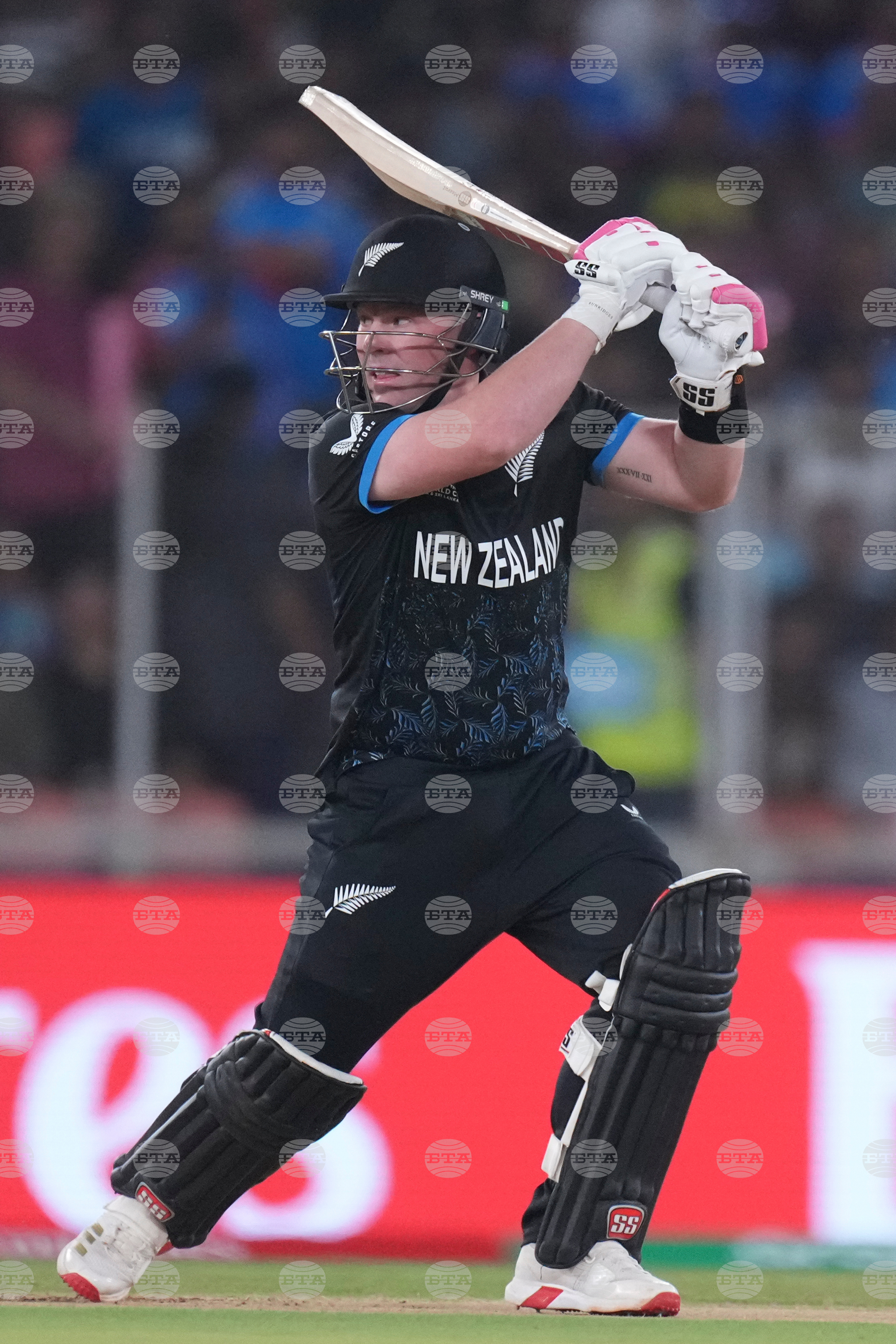South Africa New Zealand T20 WCup Cricket