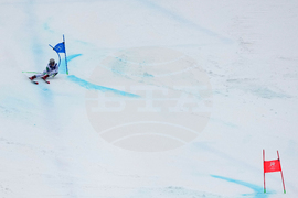 Milan Cortina Olympics Alpine Skiing