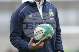 Ireland Italy Six Nations Rugby