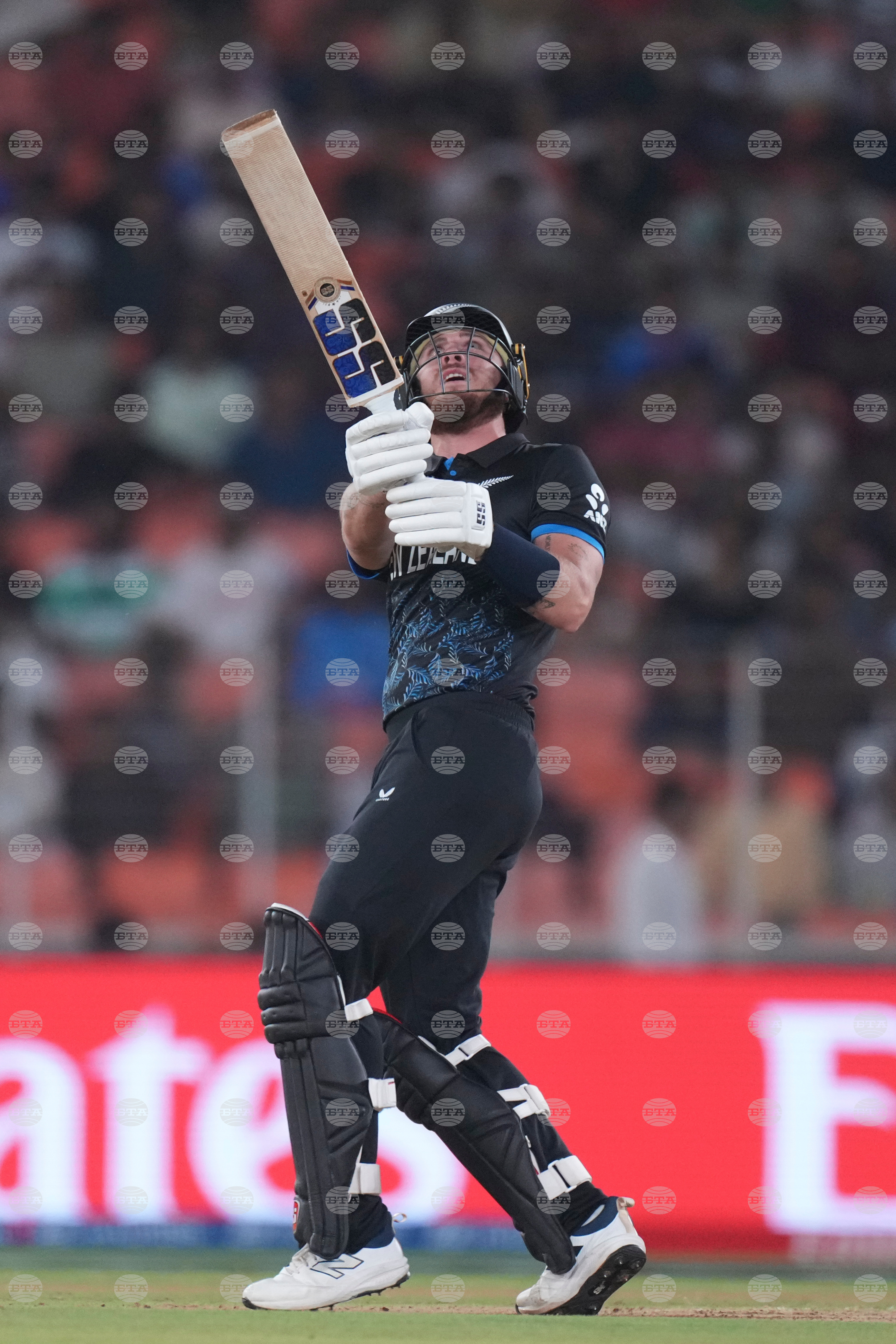 South Africa New Zealand T20 WCup Cricket