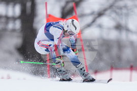 Milan Cortina Olympics Alpine Skiing