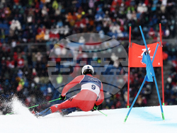 Milan Cortina Olympics Alpine Skiing