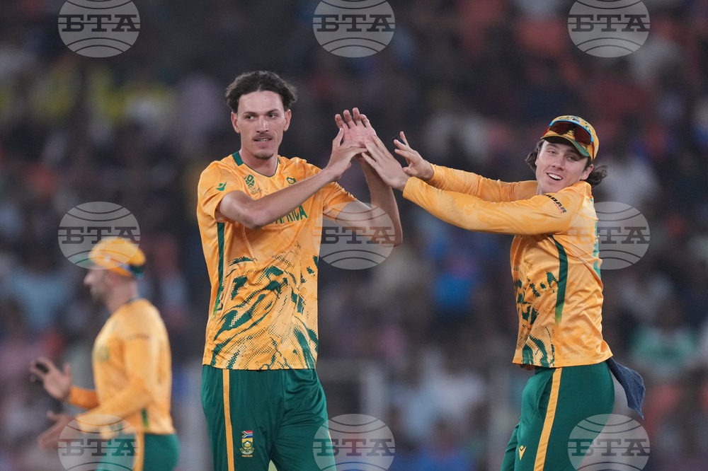 South Africa New Zealand T20 WCup Cricket