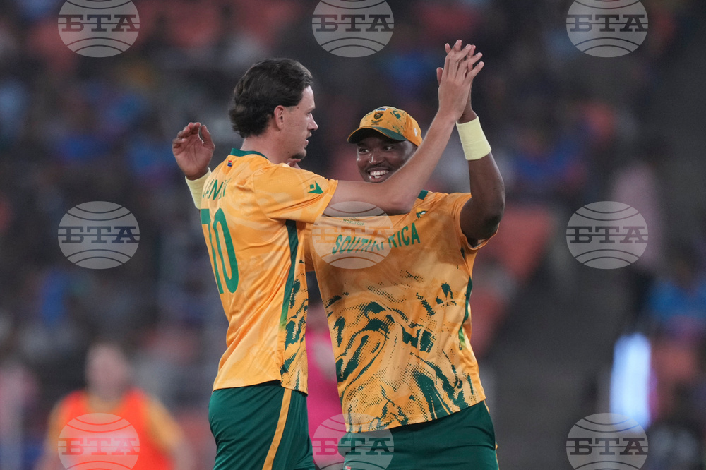 South Africa New Zealand T20 WCup Cricket