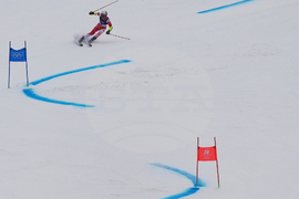 Milan Cortina Olympics Alpine Skiing