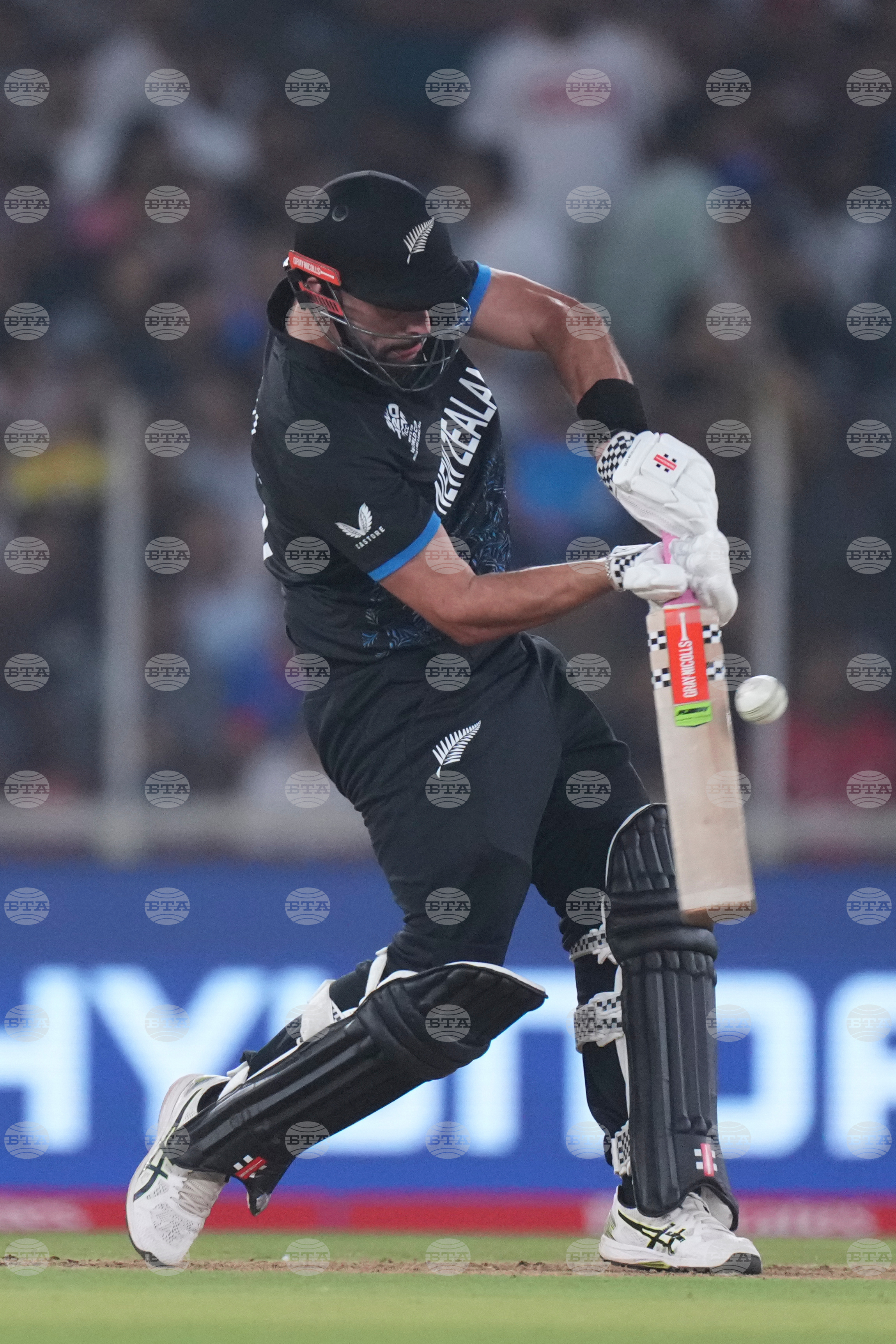 South Africa New Zealand T20 WCup Cricket