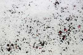 Russia Valentine's Day