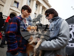 Шествие против Луковмарш