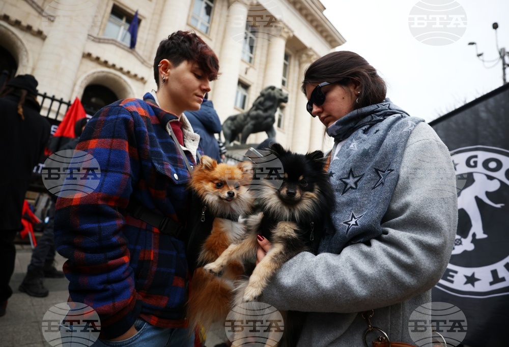 Шествие против Луковмарш