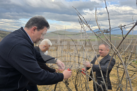 Село Генерал Тодоров - Трифон Зарезан