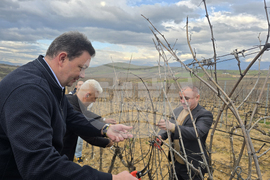 Село Генерал Тодоров - Трифон Зарезан