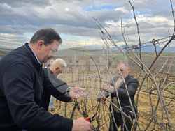 Село Генерал Тодоров - Трифон Зарезан