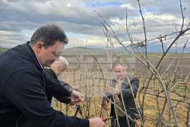 Село Генерал Тодоров - Трифон Зарезан