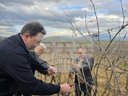 Село Генерал Тодоров - Трифон Зарезан