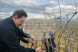 Село Генерал Тодоров - Трифон Зарезан