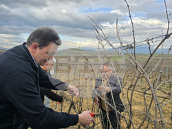 Село Генерал Тодоров - Трифон Зарезан