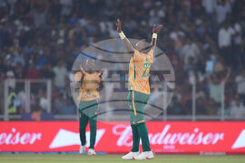 South Africa New Zealand T20 WCup Cricket