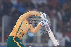 South Africa New Zealand T20 WCup Cricket