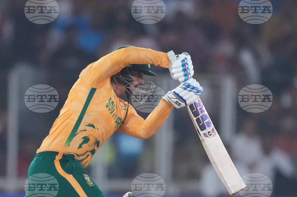 South Africa New Zealand T20 WCup Cricket
