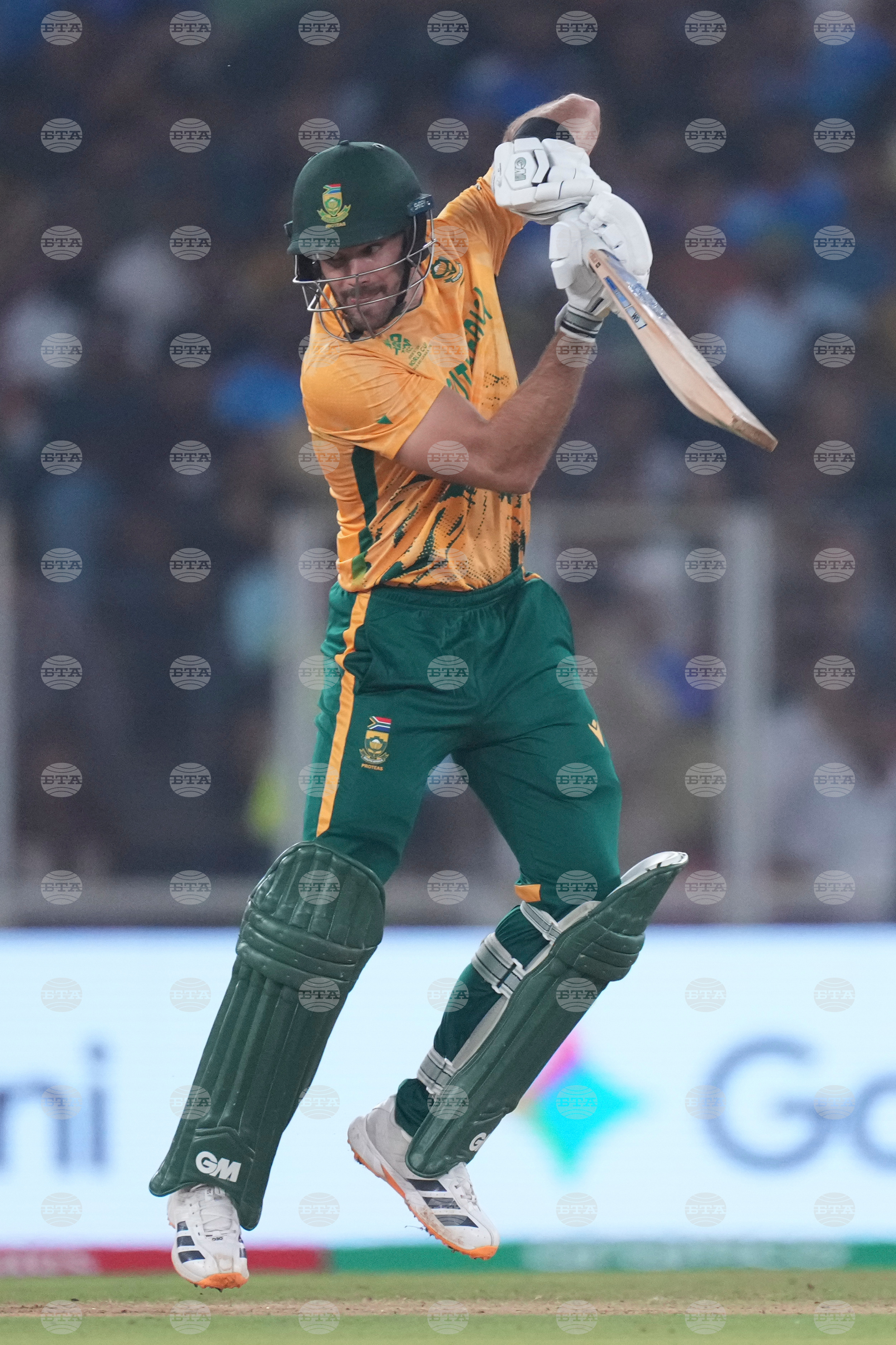 South Africa New Zealand T20 WCup Cricket